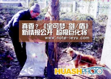 真香?《宝可梦 剑/盾》新情报公开 超极巨化将改变外形‘乐鱼体育’(图3) 真香?《宝可梦 剑/盾》新情报公开 超极巨化将改变外形‘乐鱼体育’(图3)